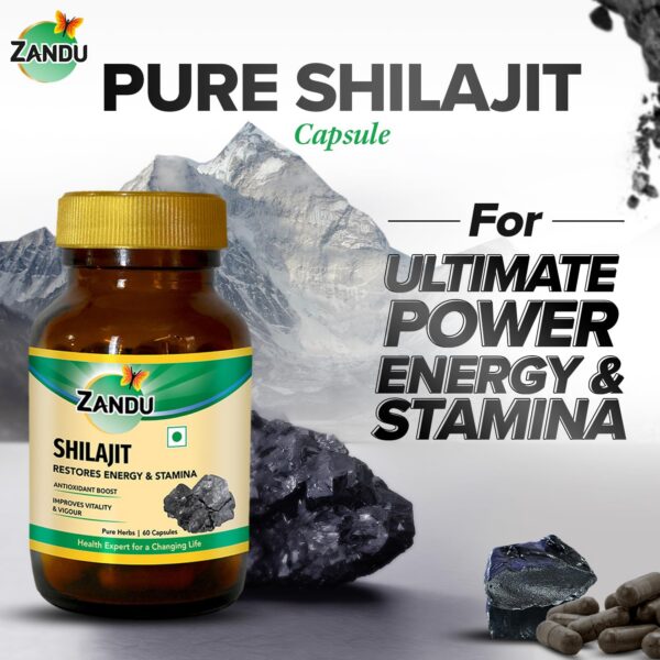 Version 1.0.0 Frasco cápsulas naturales Zandu Shilajit para energía