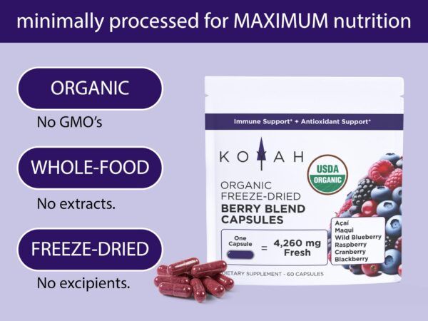 Frasco de cápsulas orgánicas KOYAH bayas liofilizadas para antioxidantes