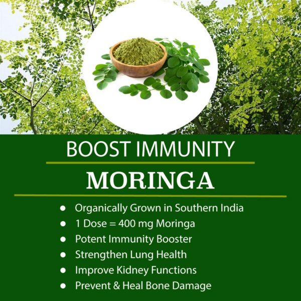 Frasco cápsulas orgánicas super greens FOLONA para energía y salud