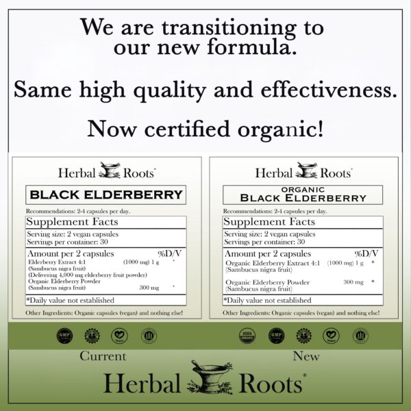 Frasco de cápsulas de saúco negro de máxima potencia Herbal Roots