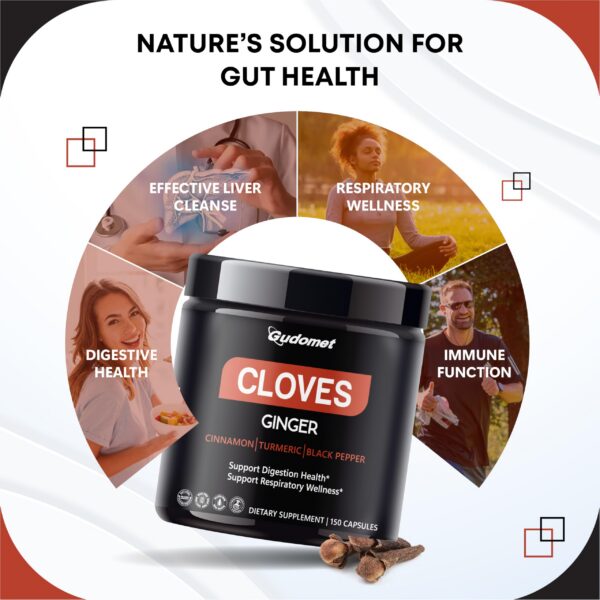 Frasco y cápsulas detalladas suplemento de clavos y especias antioxidantes