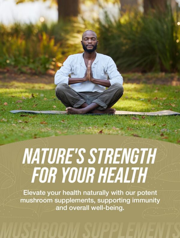 Suplemento setas Turkey Tail Coriolus BulkSupplements cápsulas