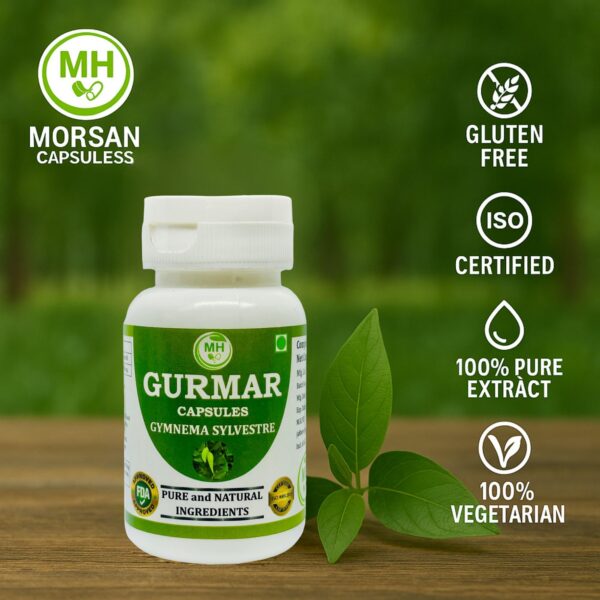 Version 1.0.0 Frasco cápsulas vegetales 500mg Gymnema Sylvestre Morsan