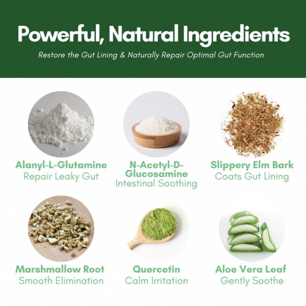 Frasco Core Correct polvo reparación digestiva