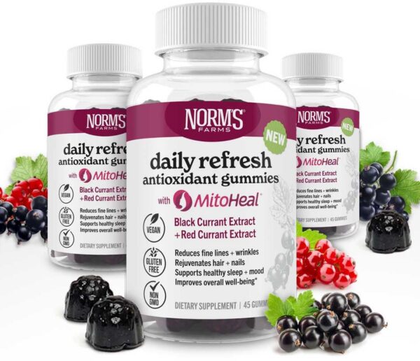 Version 1.0.0 Frasco y etiqueta de Norm's Farms gomitas antioxidantes