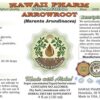 Frasco extracto Arrowroot sin alcohol suplemento natural Hawaii Pharm