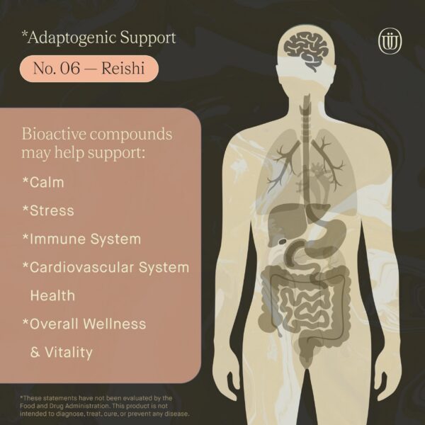 Frasco-extracto-hongo-reishi-UPHORIC-URTH