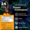 Frasco de extracto orgánico Super Echinacea Herb Pharm