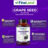 Version 1.0.0 Frasco FineLand extracto semilla uva 50-1 etiqueta y tapa
