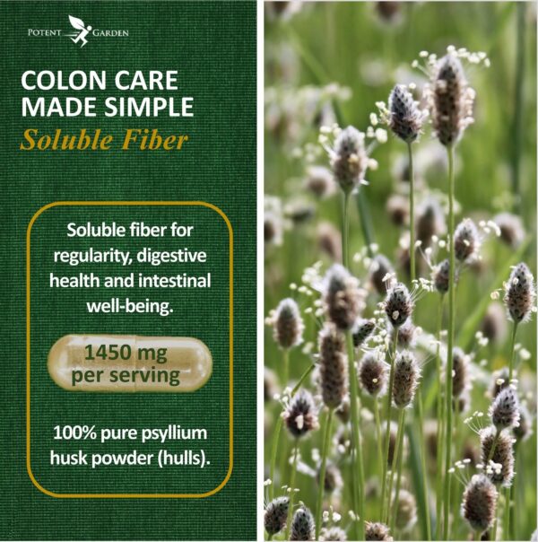 Frasco frontal cápsulas fibra psyllium Potent Garden