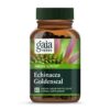 Frasco de Gaia Herbs Echinacea Goldenseal 60 cápsulas veganas