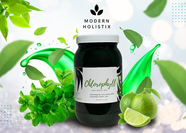 Frasco gel musgo de mar Modern Moss clorofila