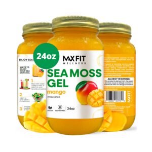 Version 1.0.0 Frasco de gel de musgo de mar silvestre oro 24oz de Santa Lucía