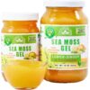 Frasco de Gel Sea Moss Lemon Ginger EverSmith Organics