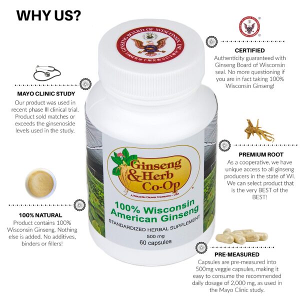 Frasco de ginseng Panax quinquefolius 500mg