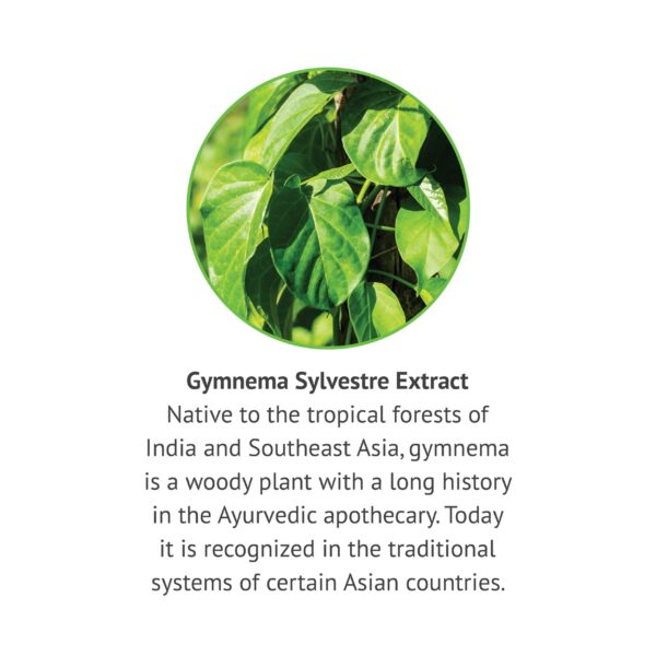Version 1.0.0 Frasco y gotero Botanic Choice Gymnema Sylvestre extracto líquido