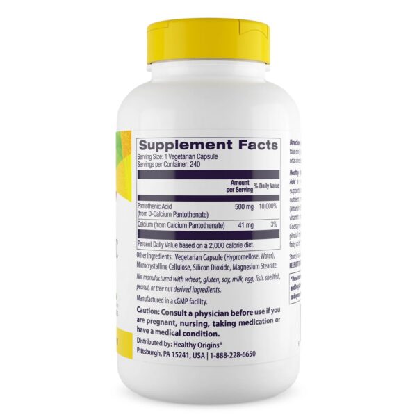 Version 1.0.0 Frasco Healthy Origins ácido pantoténico