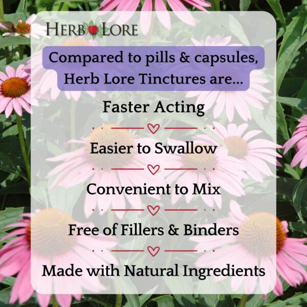 Frasco herb lore tintura líquida echinacea soporte inmunológico