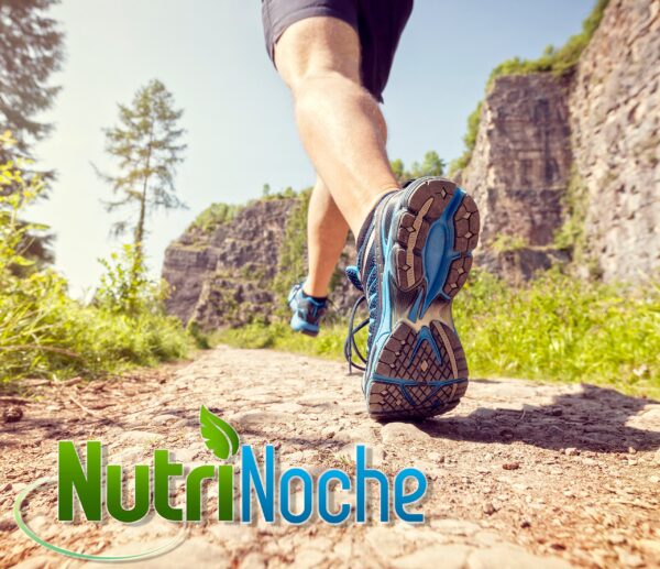 Version 1.0.0 Etiqueta y nombre de Nutrinoche