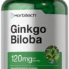 Frasco de Horbäach Ginkgo Biloba 120 mg 240 tabletas vegetales