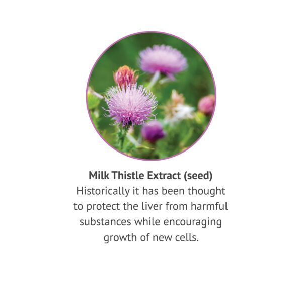 Frasco marrón extracto líquido cardo mariano para hígado