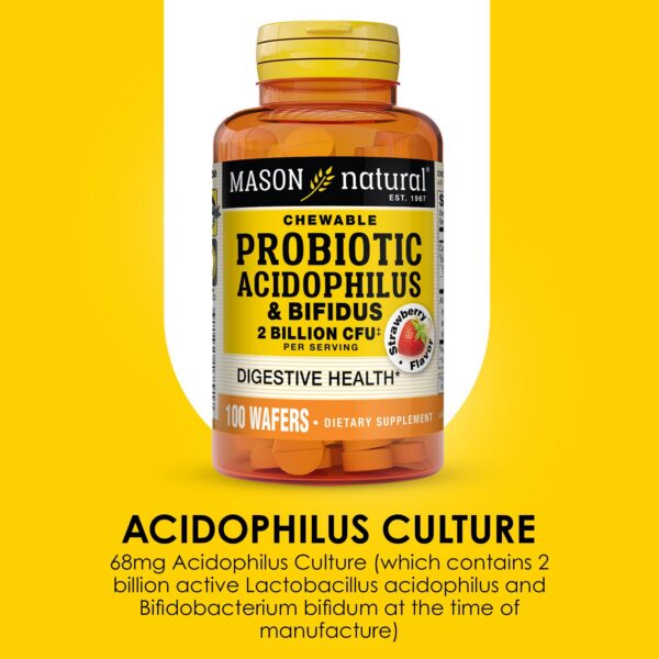 Version 1.0.0 Frasco Mason Natural acidophilus y bifidus para digestión