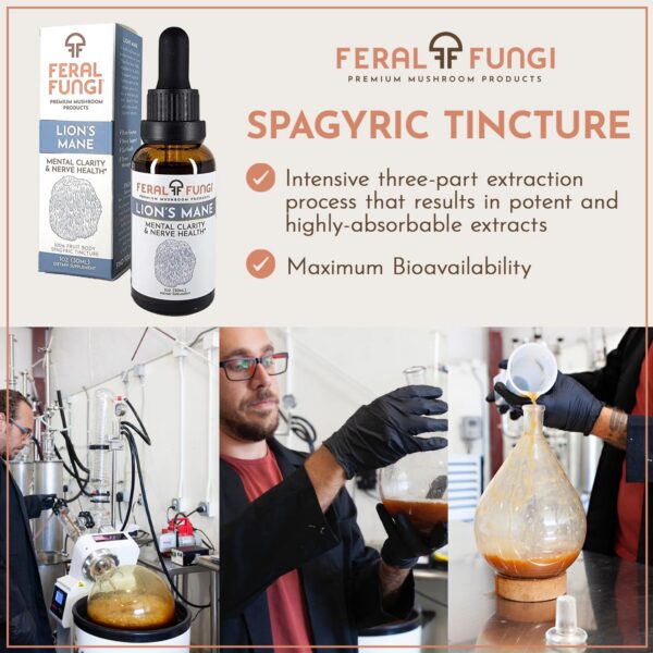 Frasco de Melena de León detalle textura