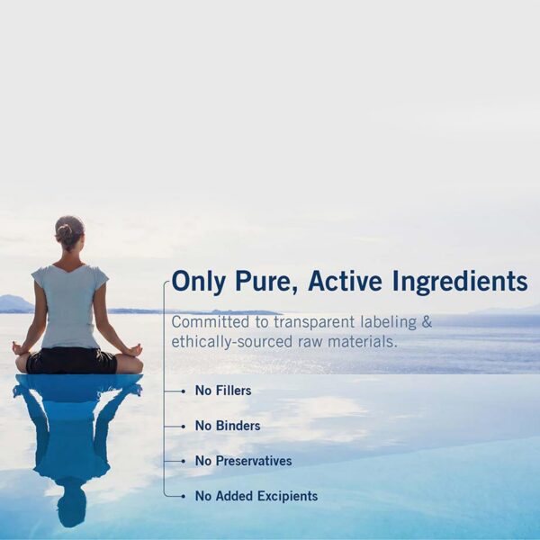 Version 1.0.0 Frasco Metabolic Maintenance vitaminas complejo b fosforilado