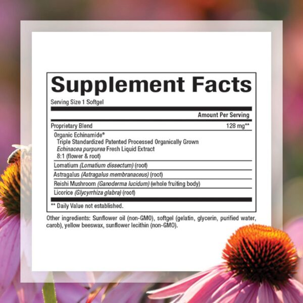 Frasco Natural Factors Fórmula Anti-V con equinácea