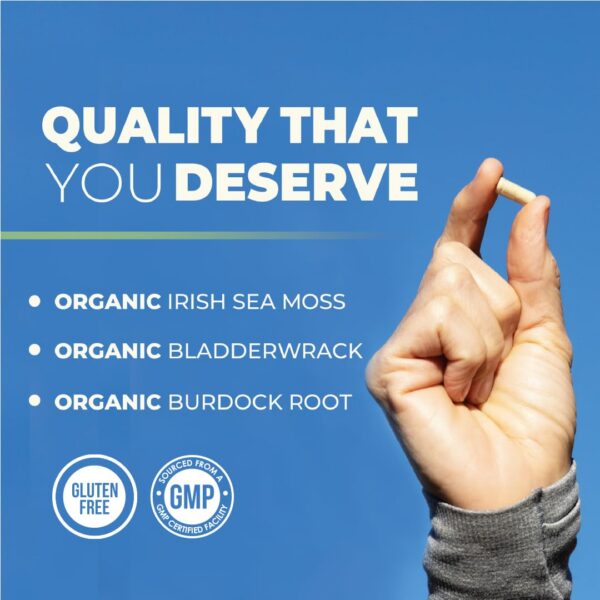 Frasco Nobi Nutrition cápsulas de raíz de bardana y bladderwrack