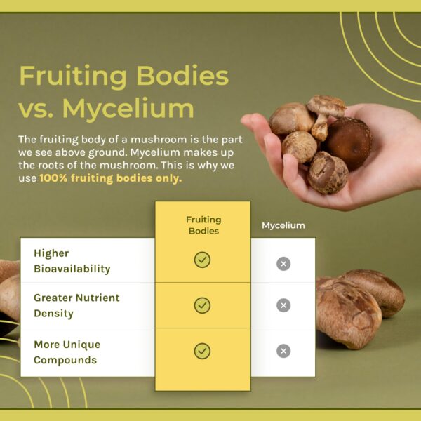 Suplemento liquido melena de leon vegano Naturealm 1.7oz