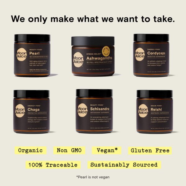 Version 1.0.0 Frasco polvo adaptógeno hongo Reishi vegano no OGM