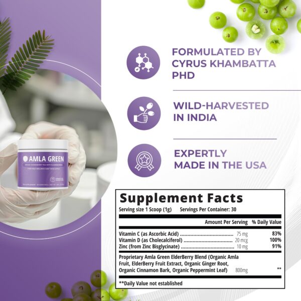 Envase suplemento Amla Green polvo superfood 20x concentrado