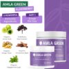 Envase suplemento amla polvo 20x concentrado Amla Green