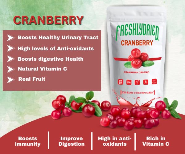 Frasco con polvo de arándano Freshlydried para apoyo inmunológico