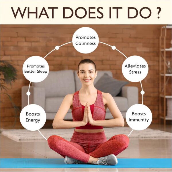 Frasco polvo AYUSHKA Ashwagandha raíz para bienestar natural