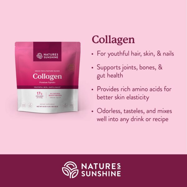 Frasco polvo colágeno tipo I y III Nature's Sunshine