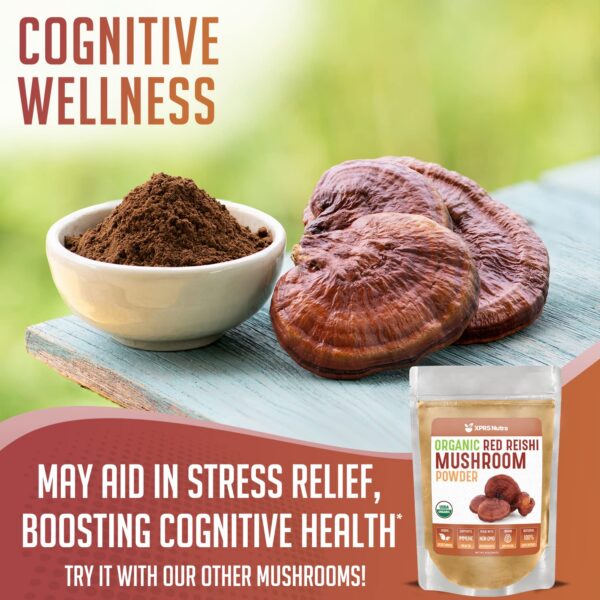 Frasco de polvo de hongo reishi rojo orgánico XPRS Nutra