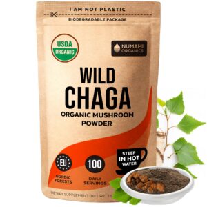 frasco polvo organico hongos chaga para te antioxidante