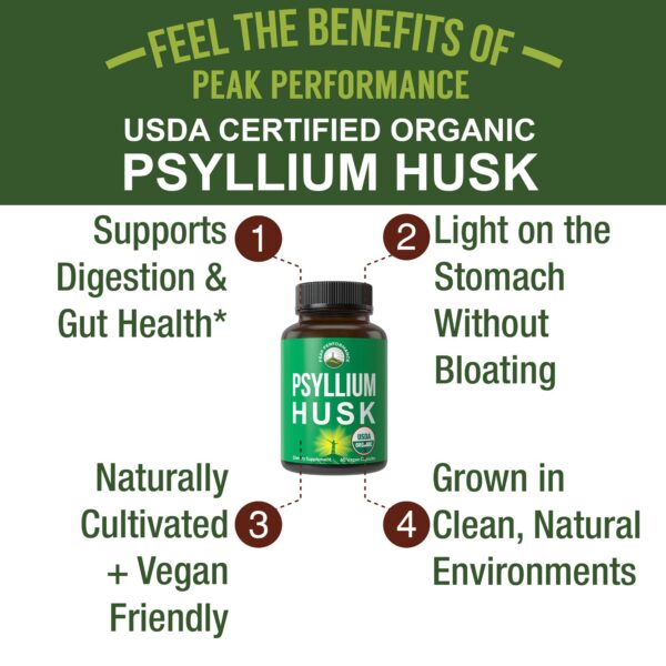 Frasco de Psyllium Husk orgánico USDA para salud intestinal