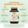 Version 1.0.0 Frasco Pure Synergy con extracto de raíz de jengibre