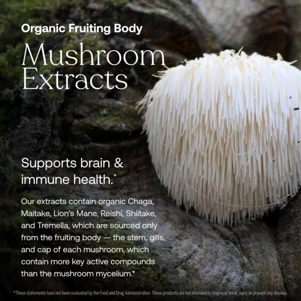 Frasco recargable y botella True Grace