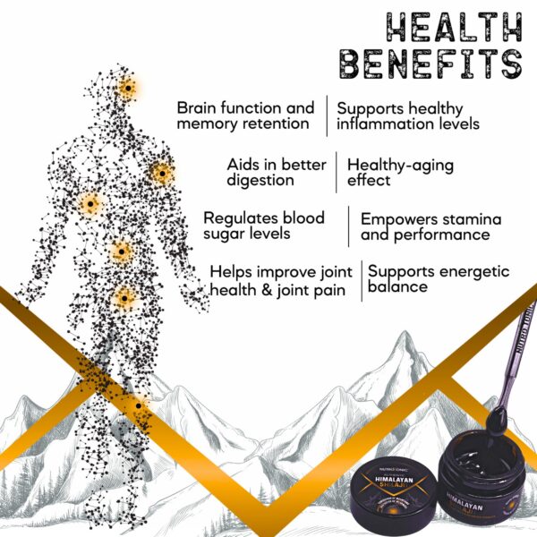 Frasco Resina Shilajit auténtico Himalaya con sello calidad