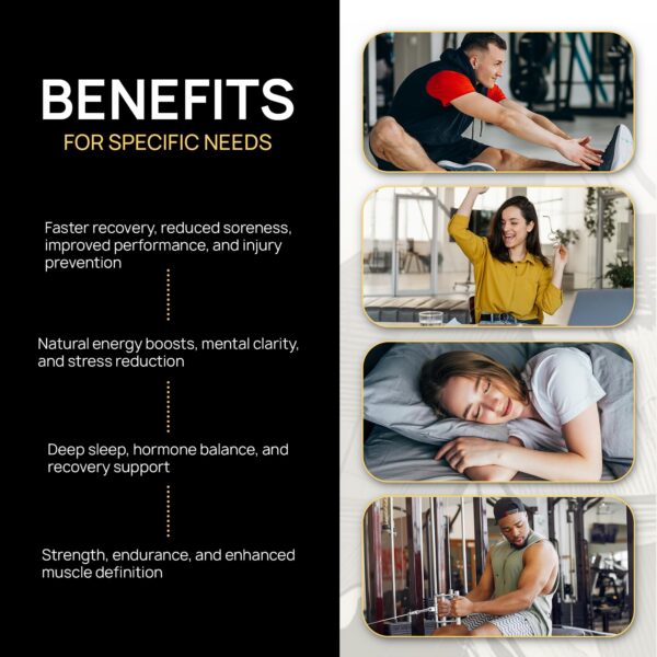 Frasco resina shilajit Himalaya suplemento natural bienestar