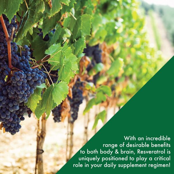 Frasco de Resveratrol ResVida 100mg para mejorar metabolismo