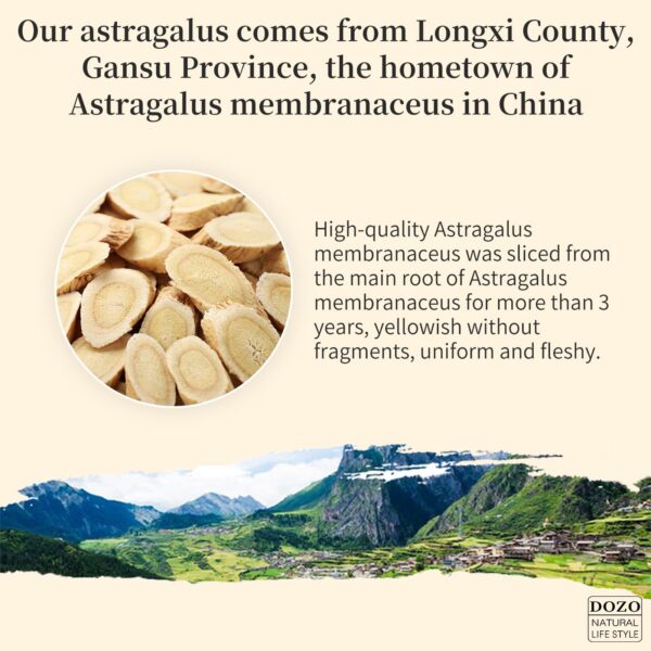 Frasco sellado té de astrágalo raíz DOZO color amarillo brillante