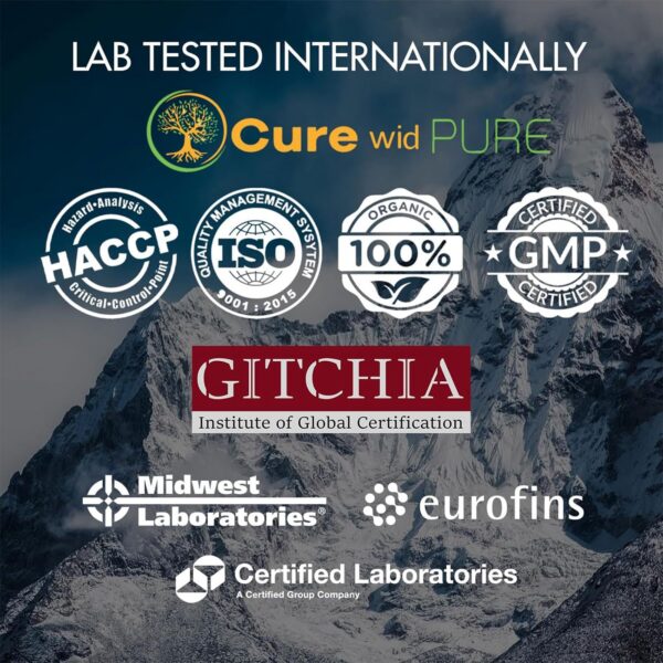 Version 1.0.0 Frasco de shilajit himalayo con cuchara dosificadora dorada