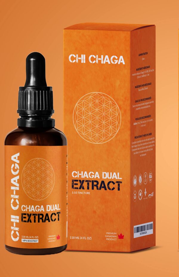 Frasco de soporte inmunológico de hongo Chaga premium