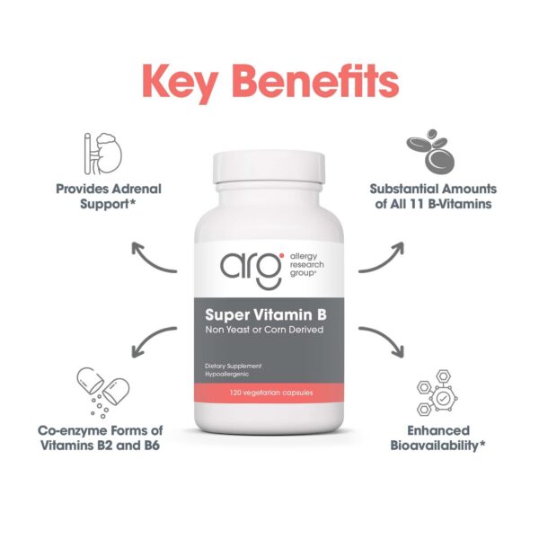 Version 1.0.0 Frasco de suplemento allergy research group super complejo b