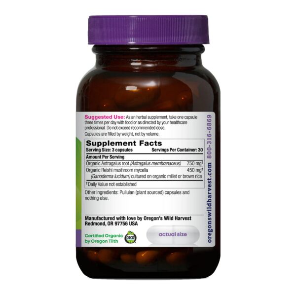 Frasco suplemento Astrágalo Reishi orgánico natural